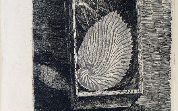 Luigi Bartolini, Argonauta argo. La fragile conchiglia, 1936, acquaforte. Courtesy © Archivio privato 'Luigi Bartolini'