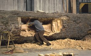 Giuseppe Penone all'opera, courtesy Gagosian Gallery e l'artista
