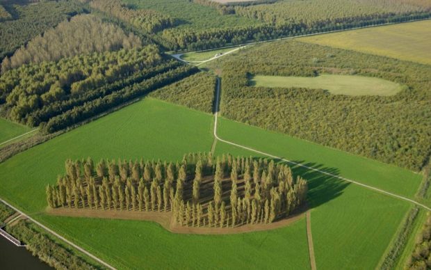 groene_kathedraal_land art_flevoland