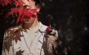 Cig Harvey, Emily & TheFalcon