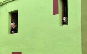 David Tremlett, Via di Mezzo, Ghizzano, 2019. Photo by Li Zhao