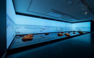 James Darling e Lesley Forwood, Living Rocks: A Fragment of the Universe, 2018, in mostra ai Magazzini del Sale, Venezia. Courtesy the artists and Hugo Michell Gallery. Installation view: Living rocks: A fragment of the universe, 2018, Hugo Michell Gallery, Adelaide, photo: Sam Roberts