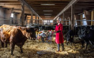 © honey & bunny (Sonja Stummerer & Martin Hablesreiter) / Daisuke Akita