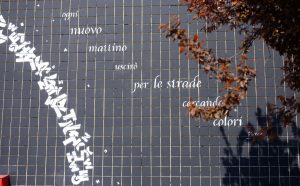 MAU Opiemme Falchera Torino