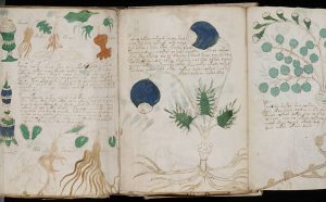 Pagine del cosiddetto Manoscritto Voynich, fonte Beinecke Rare Book & Manuscript Library, Yale University, via Wikipedia