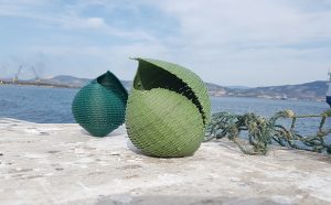 The New Raw, Second Nature, conchiglia Tonna Galea © The New Raw