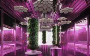 tom dixon con ikea chelsea-flower-show
