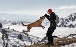 Master of Photography, quarta stagione, puntata 4 - Supereroi a quattro zampe, photo by Jan Duefelsiek