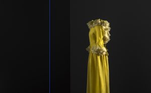 Vestido de noche, Organza de seda. Colección de Dominique Sirop, París