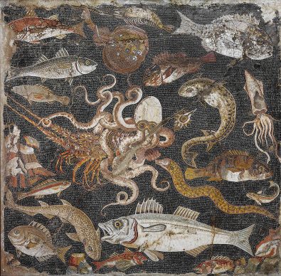 Pesce e creature marine, 100 – 1 a.C., Pompei, Casa dei mosaici geometrici,  Museo Archeologico Nazionale di Napoli