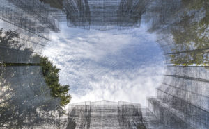 Edoardo Tresoldi, Simbiosi. Photo © Roberto Conte