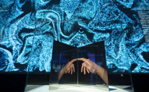 Allestimento mostra U.MANO, Fondazione Golinelli, Bologna