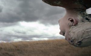 Jill Orr, Bleeding Tree, 1979. Courtesy the artist