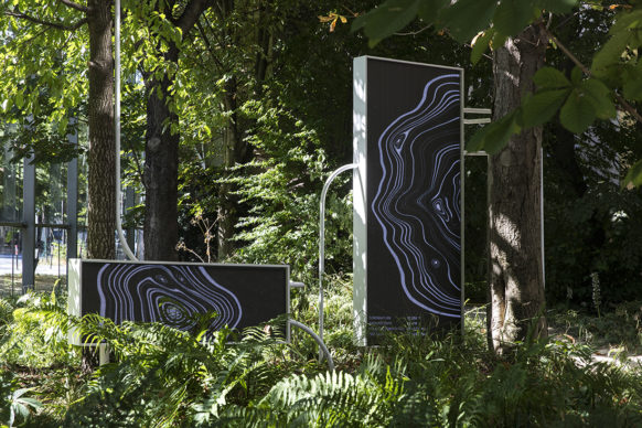 Vista dell'allestimento della mostra "Nous Les Arbres". Parigi, Fondation Cartier pour l’art contemporain. Photo Thibaut Voisin