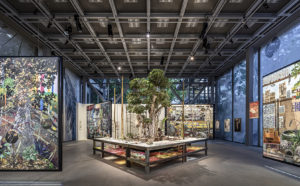 Vista dell'allestimento della mostra "Nous Les Arbres". Parigi, Fondation Cartier pour l’art contemporain. Photo Luc Boegly