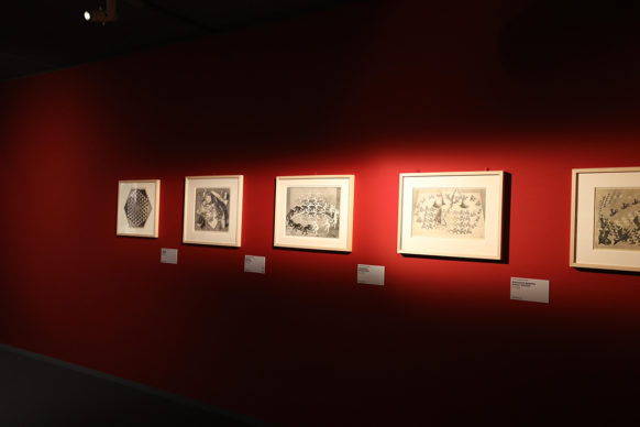 Vista dell'allestimento della mostra "Escher", al Salone degli Incanti di Trieste. Foto di Salvatore Napolano