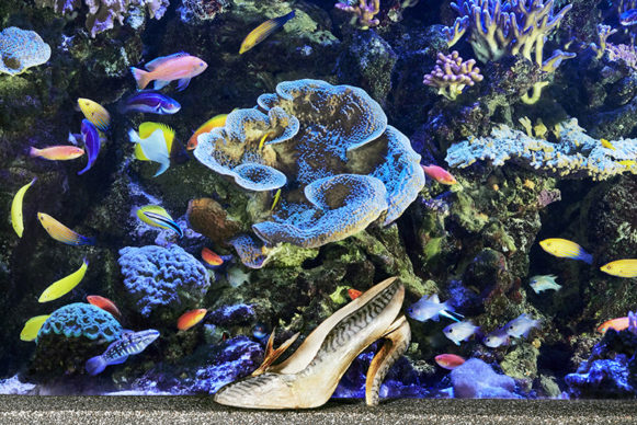 Maquereau shoe created in 1987, at the Tropical Aquarium of the Palais de la Porte Dorée (based on a visual archives from 1988)  © Christian Louboutin
