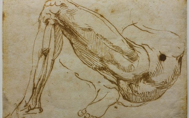 Michelangelo Buonarroti, Studio di gambe, 1524 - 1525, penna, mm 149 x 193. Firenze, Casa Buonarroti, inv. 44 F