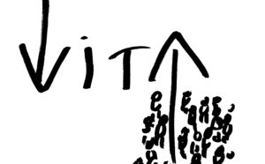 Dan Perjovschi, VITA