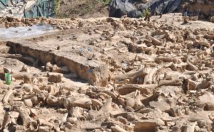 photo Alexander Pryor