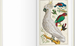 seba_Cabinet_of_Natural_Curiosities_Taschen