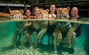 The Tigers Next Door © Steve Winter, United States, for National Geographic