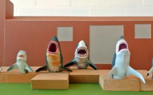 A Chorus Line. Jaimie Shorten, Sharks!