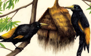 Fin qui ve la posso raccontare, courtesy gli artisti e gli editori