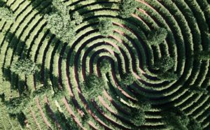 Studio Precht, Parc de la Distance. Image credits Studio Precht