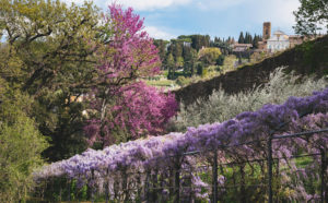 photo-stefano-casati