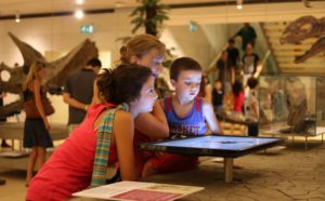 MUSE-Museo della Scienza di Trento-ph. Liandru_Lorenza