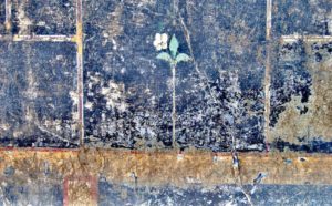 Civita Giuliana. Per gentile concessione del Parco Archeologico di Pompei