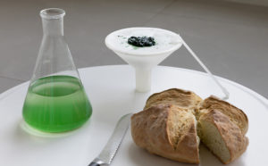 ecoLogicStudio, BioBombola, Spirulina bread © NAARO