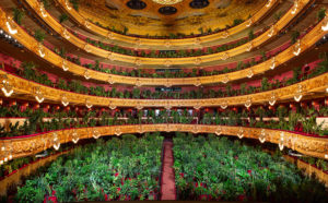 Photo Liceu Barcelona / Eugenio Ampudia