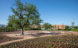 Vitra Piet Oudolf Garten, courtesy Vitra Campus