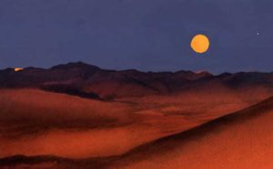 La copertina di Manuele Fior per il libro "La luna e i falò" di Cesare Pavese (Einaudi). Courtesy l'artista