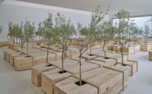 Yoko Ono: The Learning Garden of Freedom, exhibitionn view at Serralves Museum of Contemporary Art di Porto, Portogallo. Photo © Filipe Braga