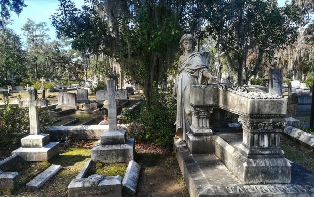 Bonaventure Cemetery, Savannah. Courtesy Claudia Vannucci