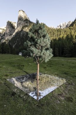 Henrik Håkansson, A Tree Mirrored (Pinus Cembra), 2020. Installation. Courtesy of the artist and Galleria Franco Noero, Torino. Ph. T.Sorvillo / L.Guadagnini