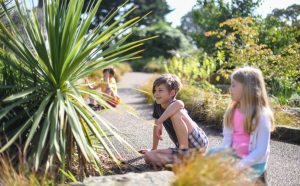 TTWAK, South Africa, Rock Garden. Credit Ines Stuart Davidson, Kew