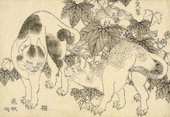 Cats and hibiscus, Katsushika Hokusai, 1829. © The Trustees of the British Museum