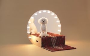 Paramount by Konstantin Grcic for Toy Poodle. Photo Hiroshi Yoda