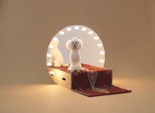 Paramount by Konstantin Grcic for Toy Poodle. Photo Hiroshi Yoda