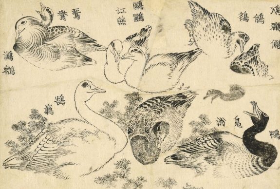 Water birds, Katsushika Hokusai, 1829. © The Trustees of the British Museum