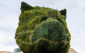 Jeff Koons, Puppy, 1992. Guggenheim Bilbao Museo. Photo Erika Ede