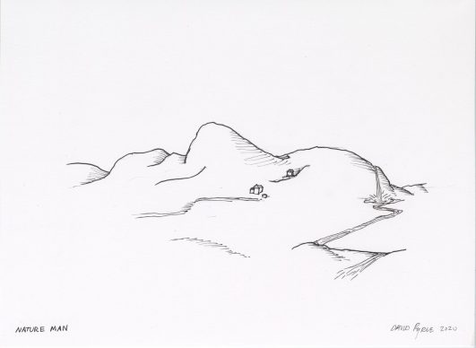 David Byrne, Nature Man, 2020, fadeproof waterproof ink on archival paper, 22.9 cm × 30.5 cm, paper 27.9 cm × 35.6 cm, frame No. 76203 © David Byrne, courtesy Pace Gallery