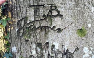 World War 2 graffiti. Courtesy New Forest National Park Authority