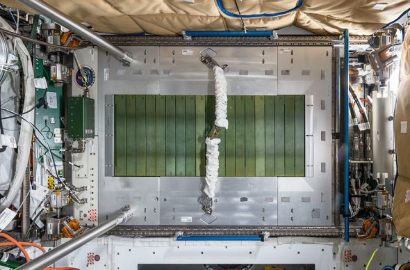 © Paolo Nespoli. Combined Operational Load-Bearing External Resistance Treadmill – C.O.L.B.E.R.T. Node 3 – Tranquility International Space Station – ISS. Low Earth Orbit, Space