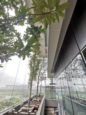 Nanjing Vertical Forest (c) Stefano Boeri Architetti