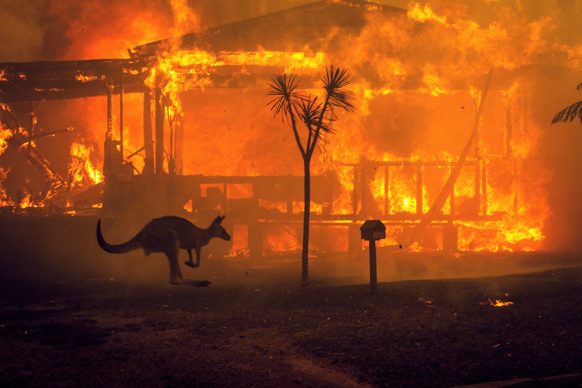 Un canguro che scappa davanti a una casa in fiamme nella cittadina di Lake Conjola, Australia, 2019 © Matthew Abbott : The New York Times